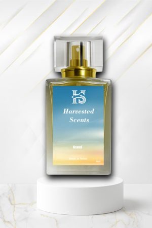 Aseel Inspired by Aseel Al-Rehab